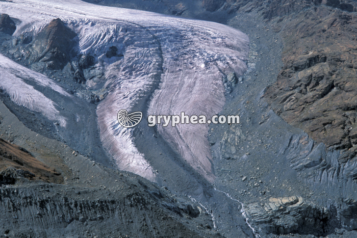 Glacier et moraines - gryphea.org